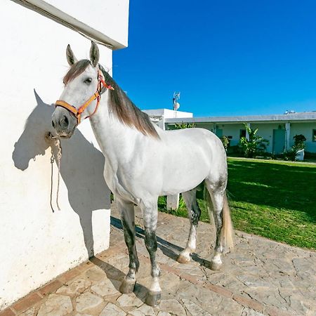 Casa Rural Con Terraza Privada III Lejlighed Tarifa Eksteriør billede