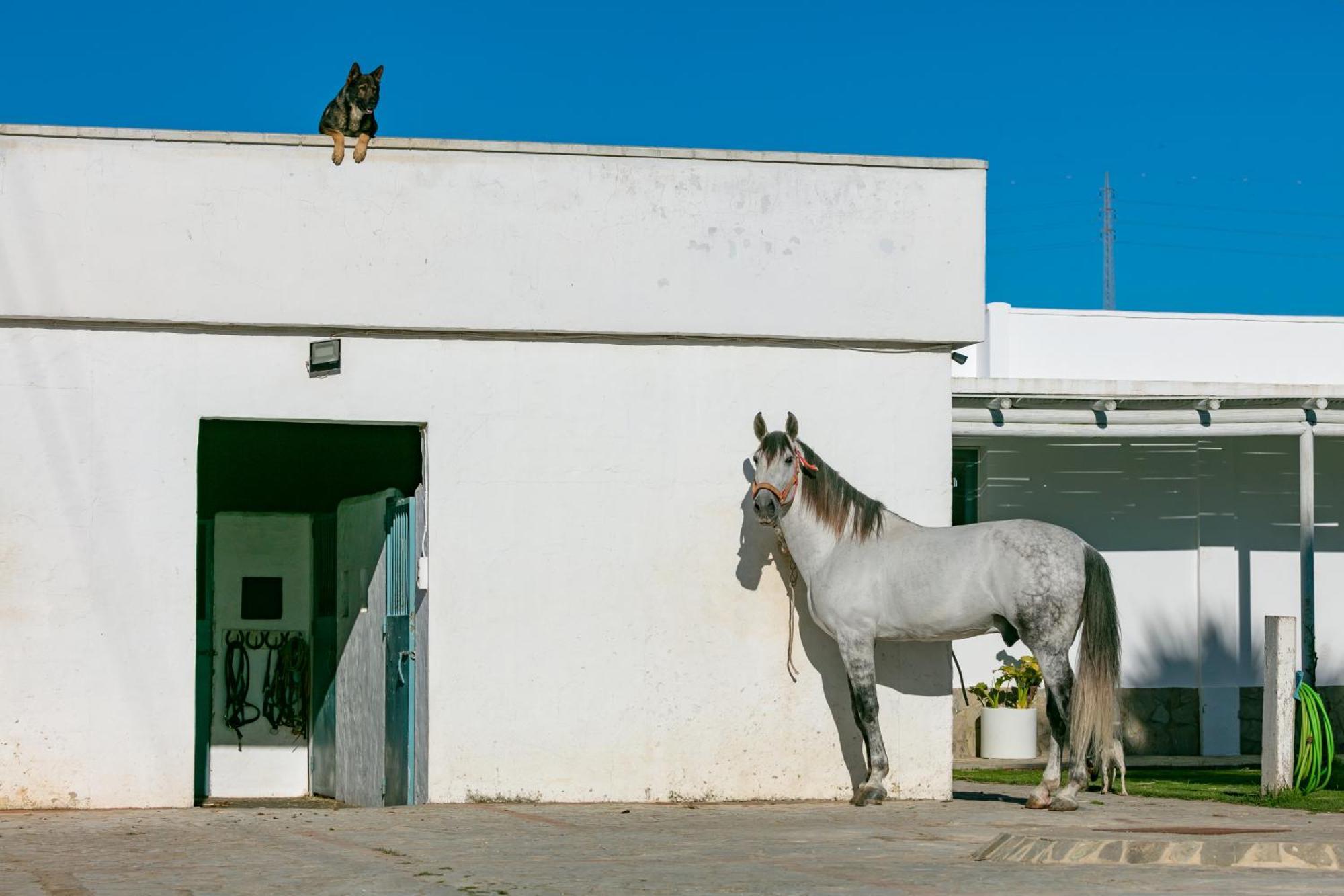 Casa Rural Con Terraza Privada III Lejlighed Tarifa Eksteriør billede