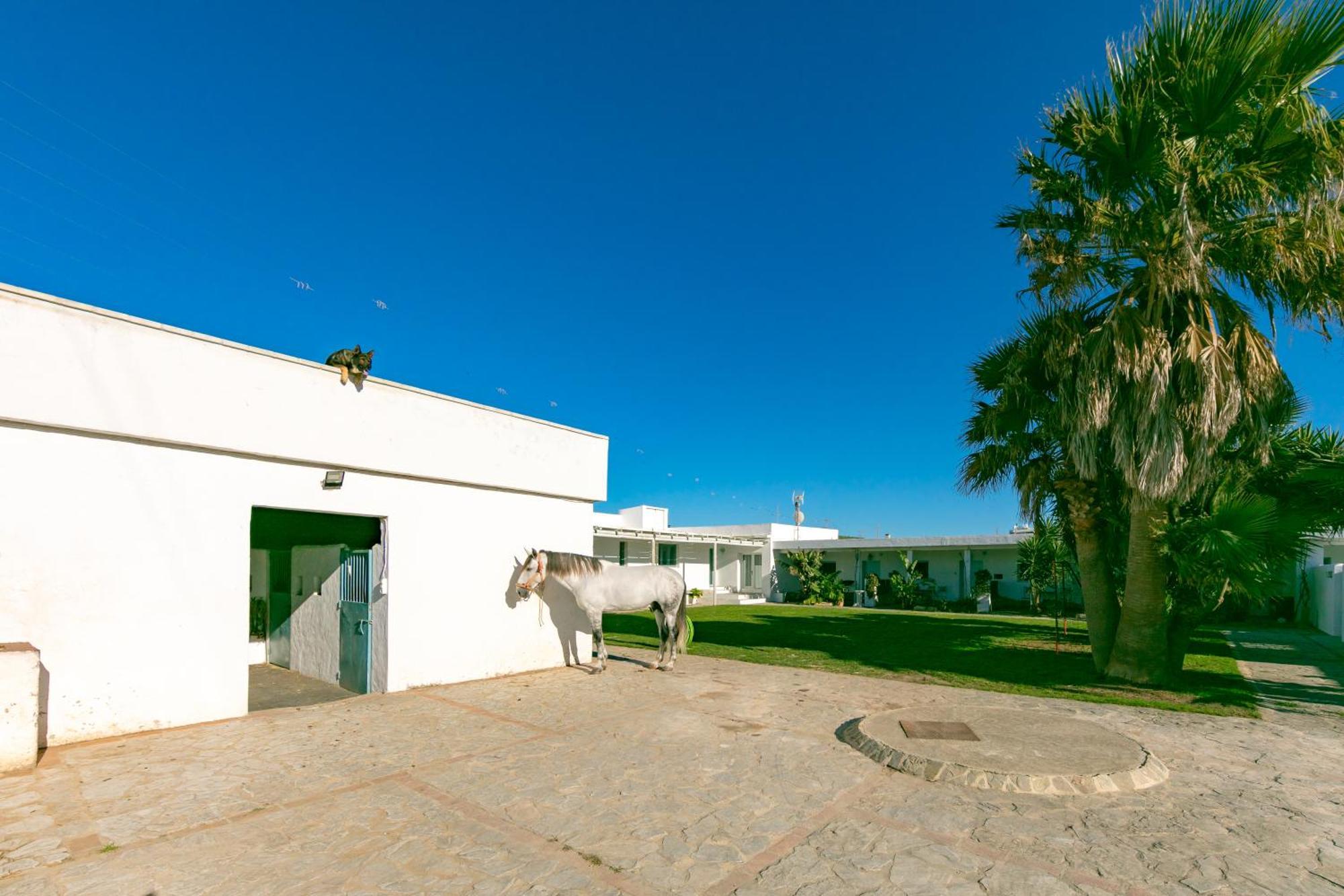 Casa Rural Con Terraza Privada III Lejlighed Tarifa Eksteriør billede